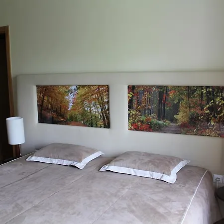 Moinho Da Ponte Velha * Braganca