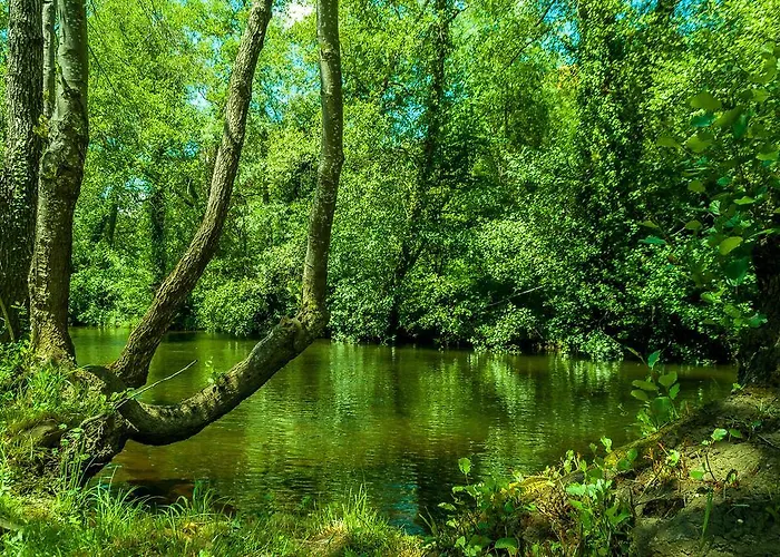 컨트리하우스 Moinho Da Ponte Velha