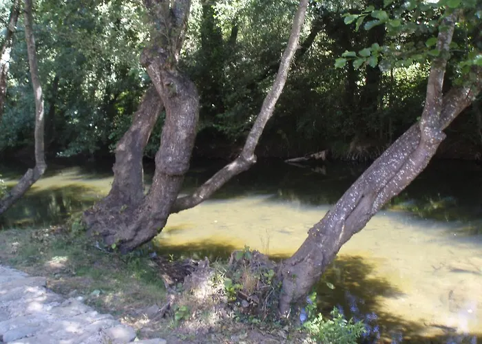 Venkovský dům Moinho Da Ponte Velha Bragança